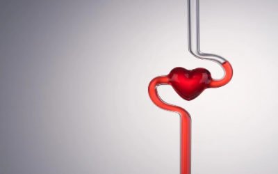 وش اسوي : التبرع بالدم أنواعه، وفوائده، وشروطه، وموانعه