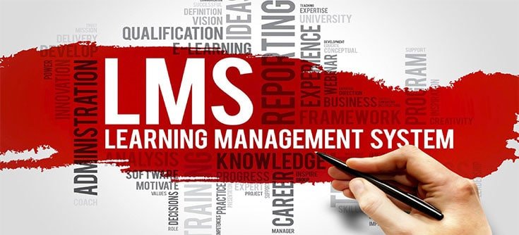 هل تحتاج مؤسستي نظام إدارة التعلم LMS