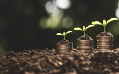 أفضل أفكار مشاريع نادرة مربحة جدًا وضعيفة المنافسة 2021