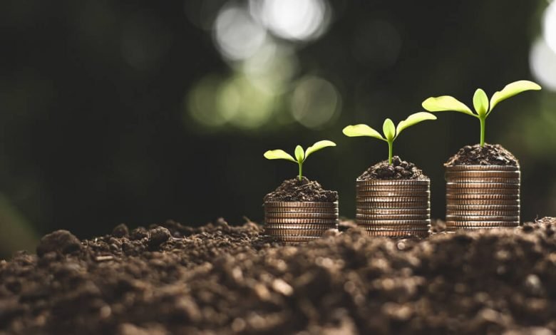 أفضل أفكار مشاريع نادرة مربحة جدًا وضعيفة المنافسة 2021