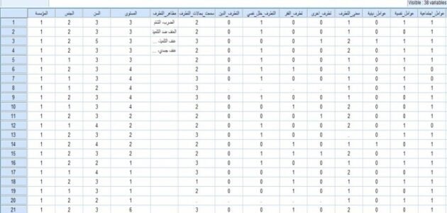 الربح من تفريغ الاستمارات على موقع IBM SPSS