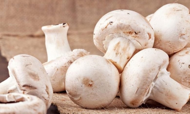 تفسير رؤية الفطر في المنام بجميع تأويلاته