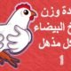 كيفية زيادة وزن الفراخ البيضاء بـ 5 طرق طبيعية آمنه